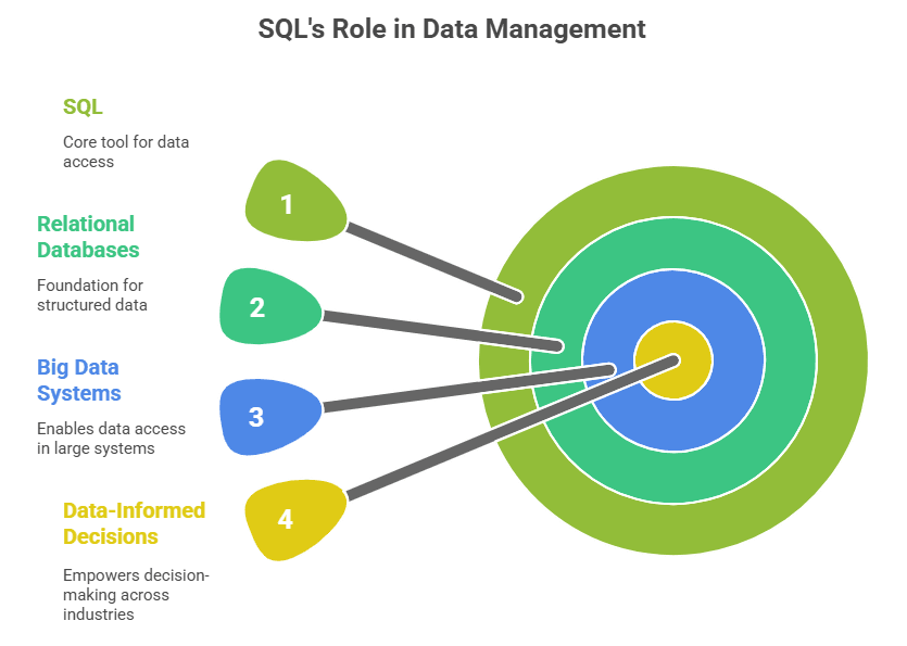 SQL Role in BD