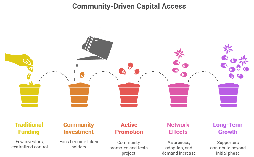 Community-Driven-Capital-Access
