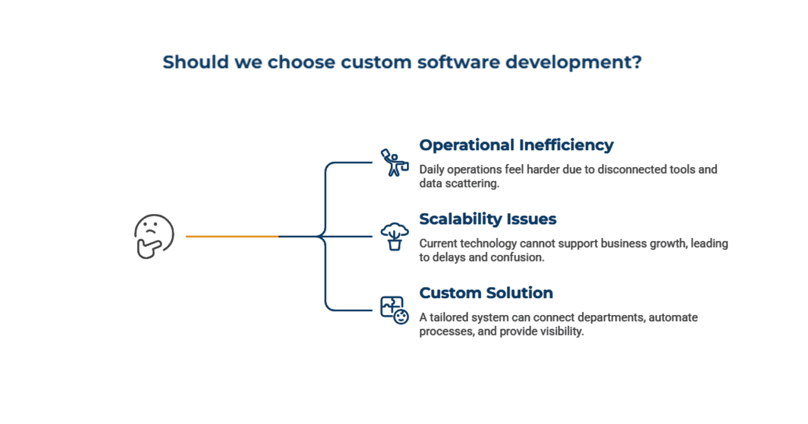 Why Business Choose Custom Software 