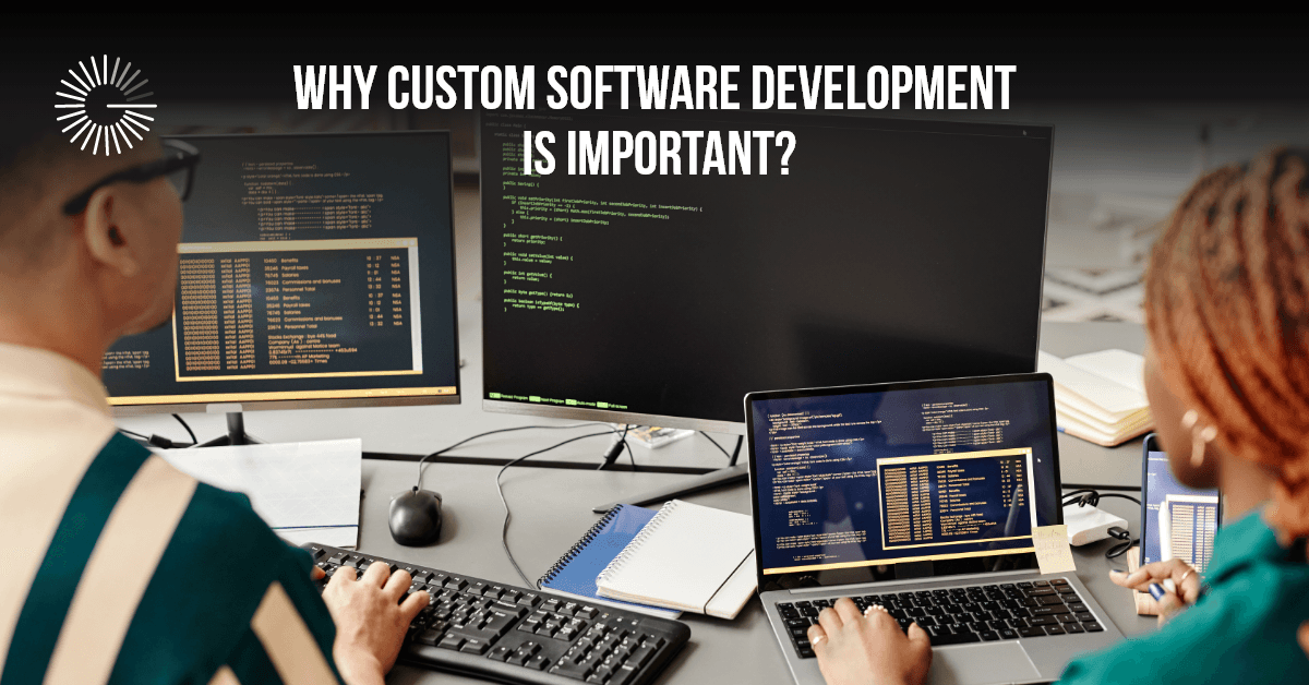 Why Custom Software Matters for Growing Businesses